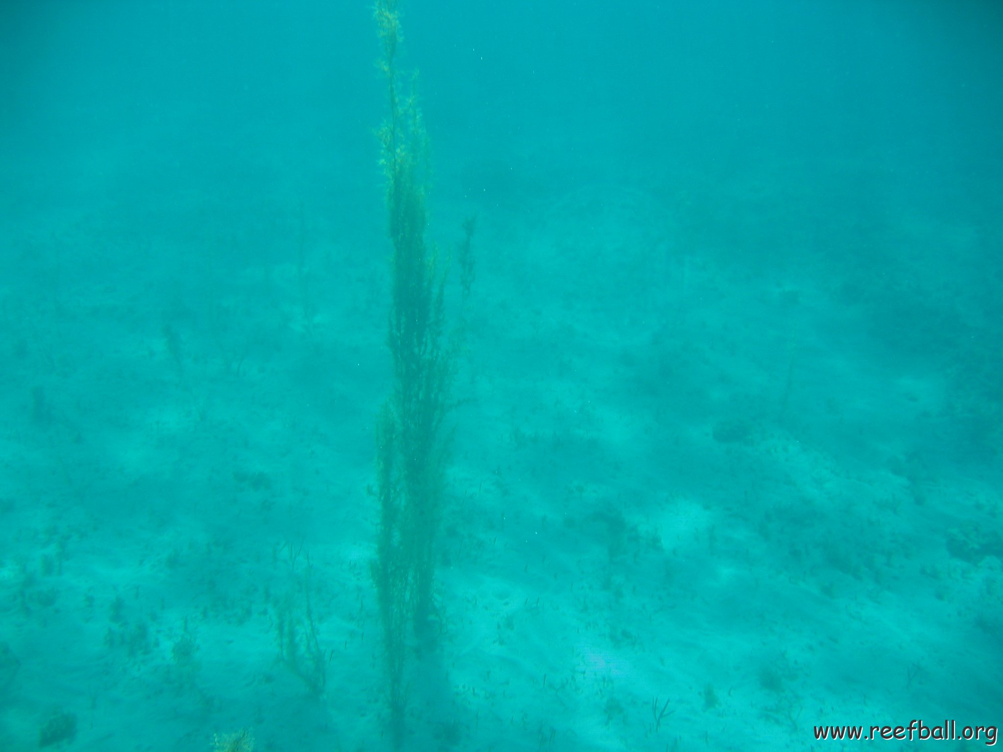 bahamas 166