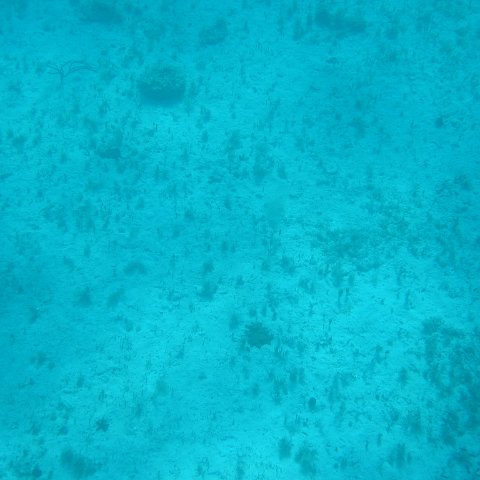 bahamas 126 bahamas 126
