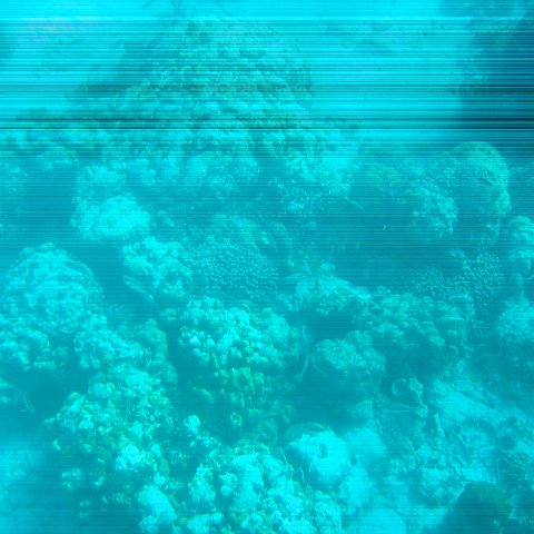 bahamas 132 bahamas 132
