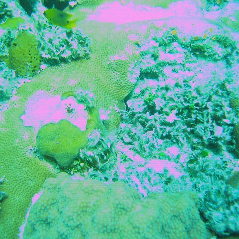 bahamas 139 bahamas 139