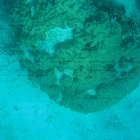 bahamas 152 bahamas 152