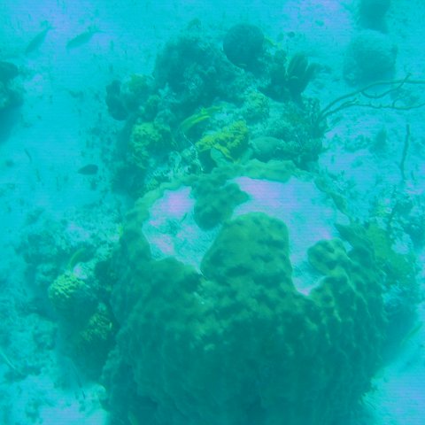 bahamas 156 bahamas 156