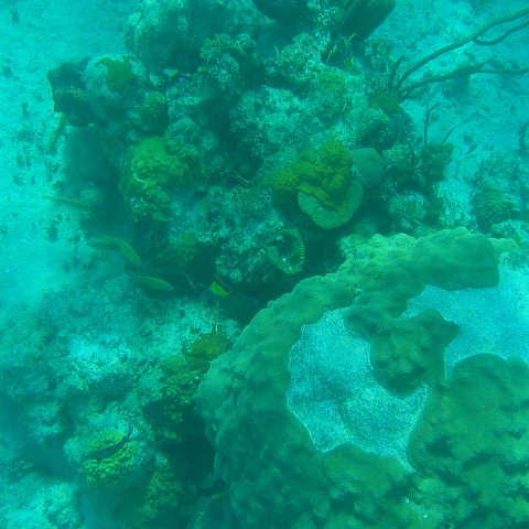 bahamas 157 bahamas 157