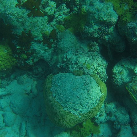 bahamas 174 bahamas 174