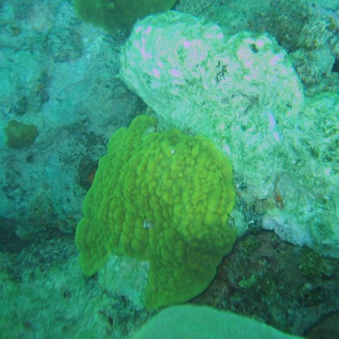 bahamas 179 bahamas 179