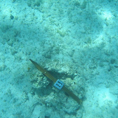 IMG_1103 IMG_1103