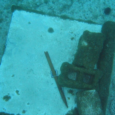 IMG_1104 IMG_1104