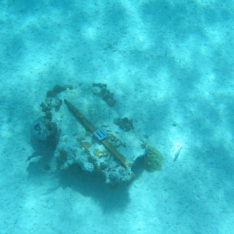 IMG_1105 IMG_1105