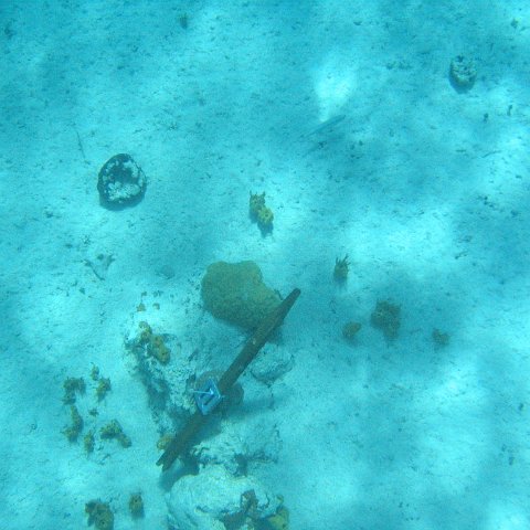 IMG_1109 IMG_1109