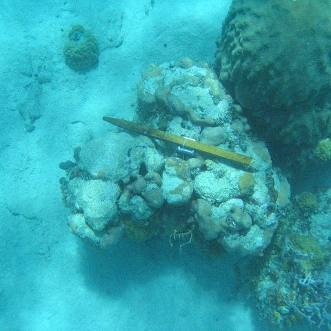 IMG_1112 IMG_1112