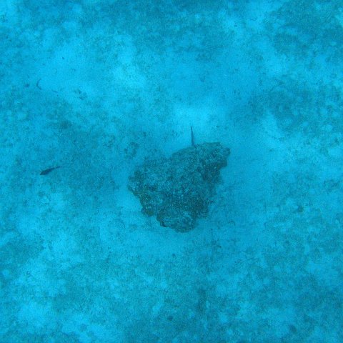 IMG_1128 IMG_1128