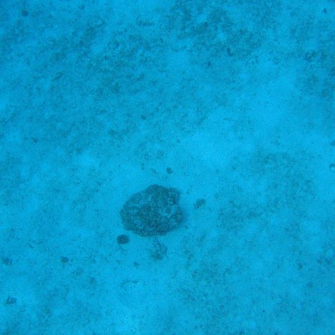 IMG_1130 IMG_1130