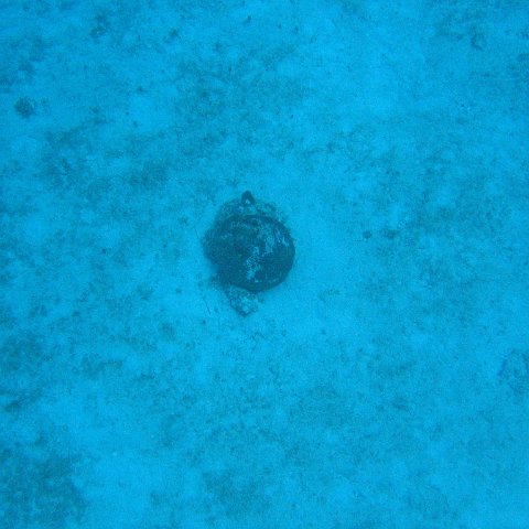 IMG_1133 IMG_1133