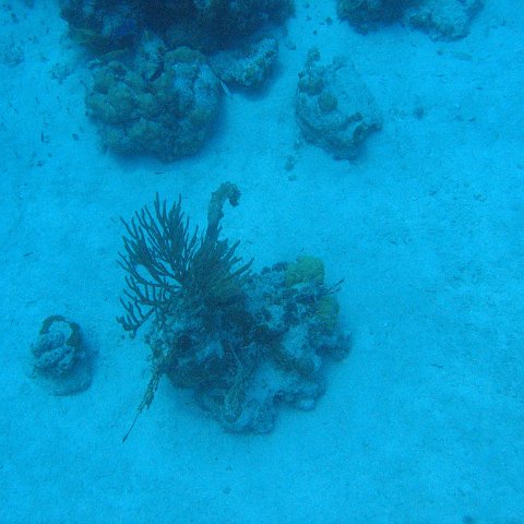 IMG_1138 IMG_1138