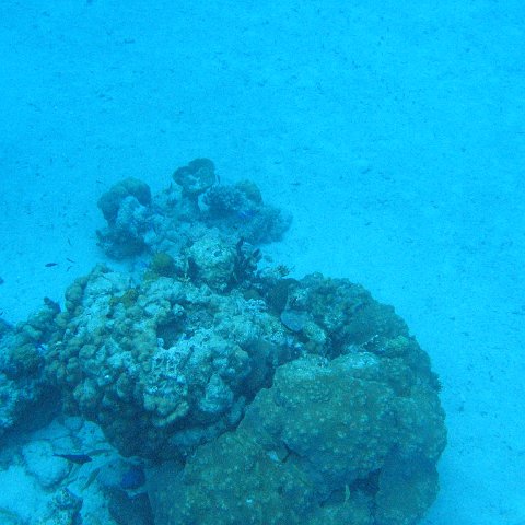 IMG_1139 IMG_1139