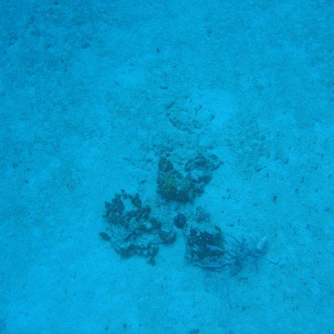 IMG_1143 IMG_1143