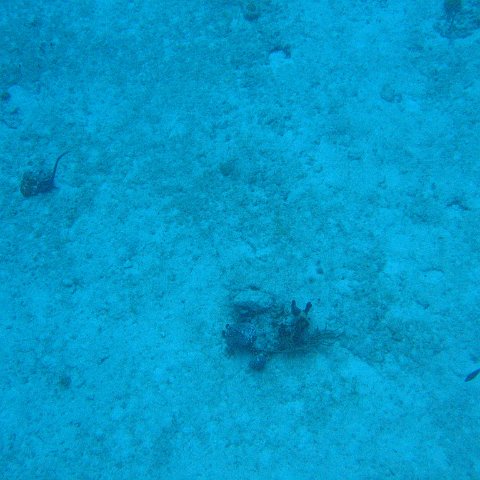 IMG_1145 IMG_1145
