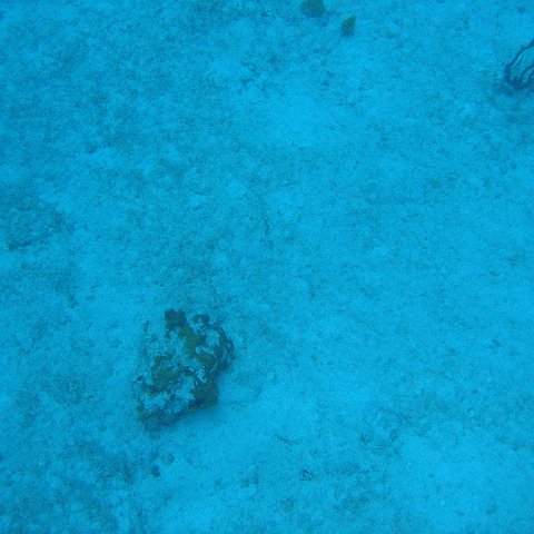 IMG_1146 IMG_1146