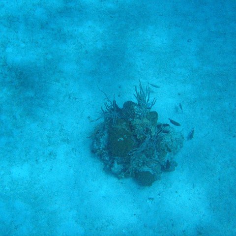 IMG_1148 IMG_1148