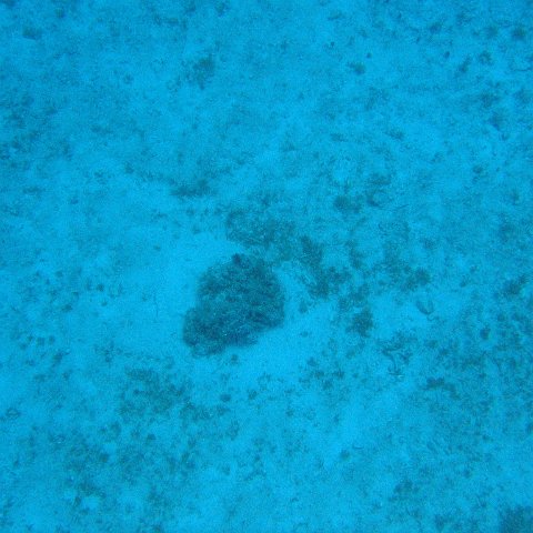 IMG_1151 IMG_1151