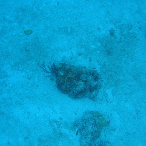 IMG_1154 IMG_1154