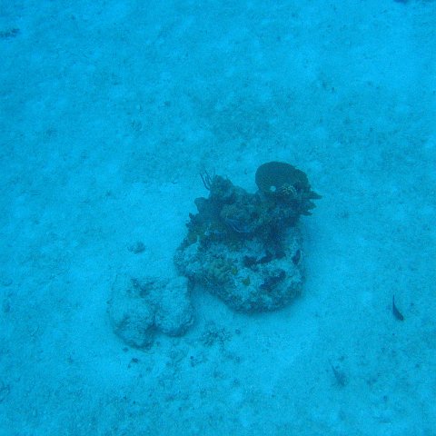 IMG_1156 IMG_1156