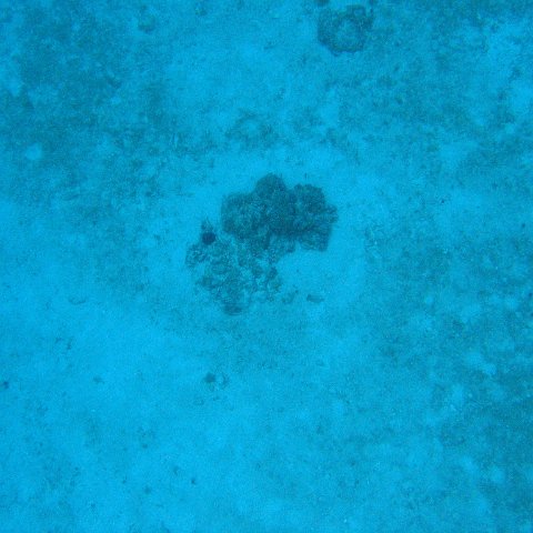 IMG_1157 IMG_1157