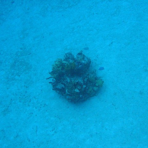IMG_1158 IMG_1158