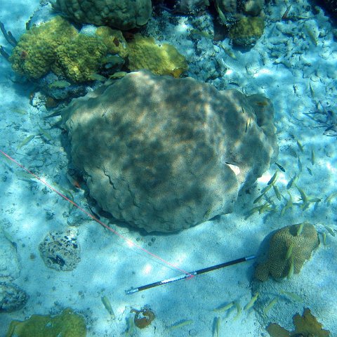 IMG_0117 IMG_0117