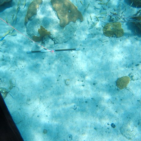 IMG_0118 IMG_0118