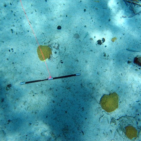 IMG_0123 IMG_0123