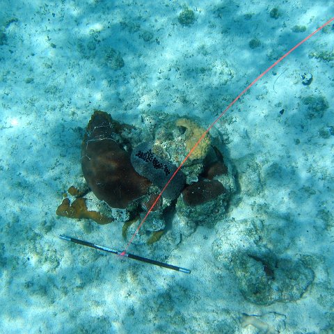IMG_0126 IMG_0126