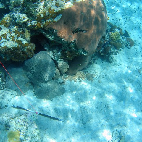IMG_0129 IMG_0129