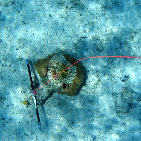 IMG_0138 IMG_0138