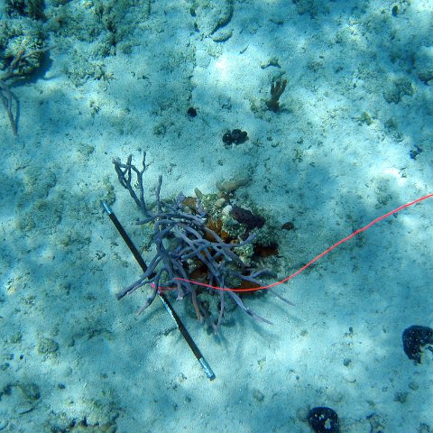 IMG_0140 IMG_0140