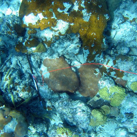 IMG_0144 IMG_0144