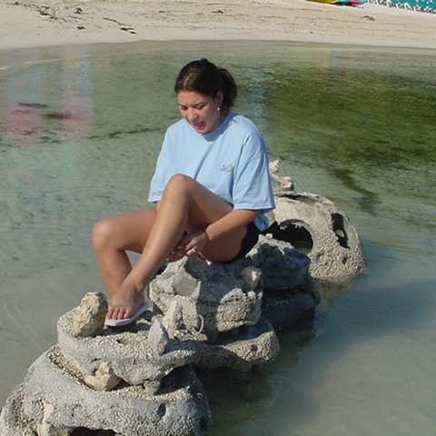 ReefBall003.jpg ReefBall003.jpg