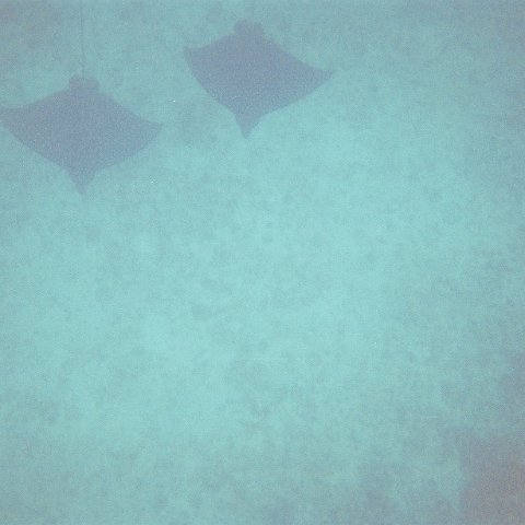 4753890-R1-012-4A 4753890-R1-012-4A