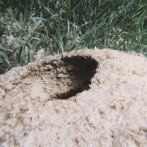 10-2003-11.jpg 10-2003-11.jpg