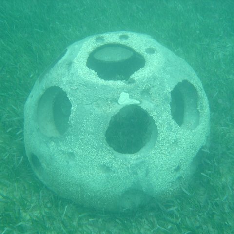 Reefball2004 002