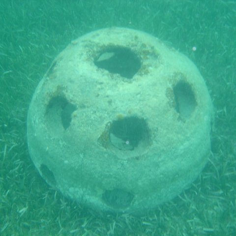 Reefball2004 003