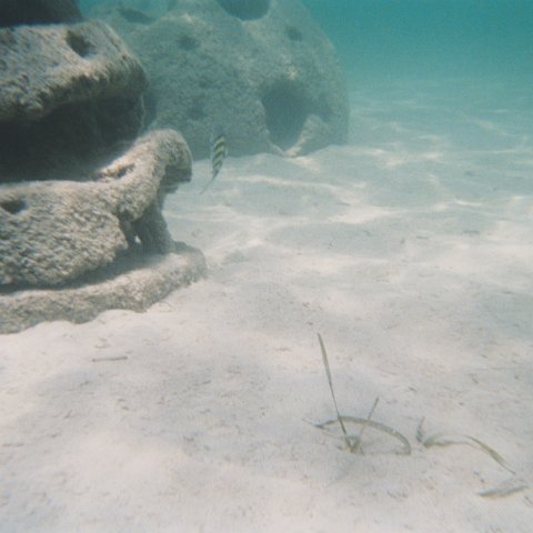 10-2003-05.jpg 10-2003-05.jpg