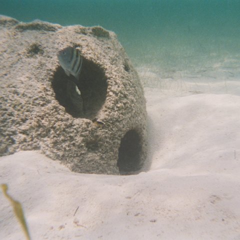 10-2003-09.jpg 10-2003-09.jpg