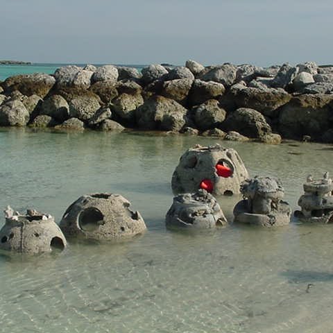 reefball005 reefball005