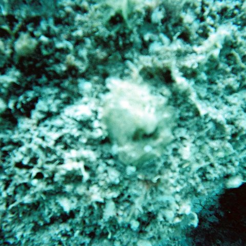 4753890-r1-048-22a_1 4753890-r1-048-22a_1