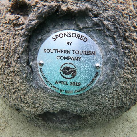SouthernTouristCompany SouthernTouristCompany