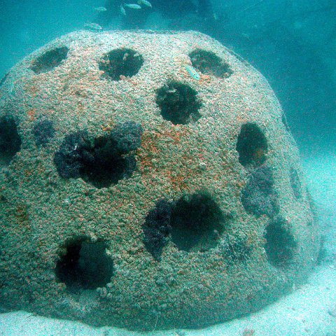 bahrain_dome_unit bahrain_dome_unit