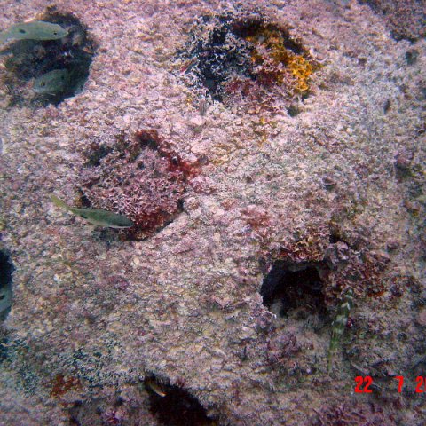 samahejj_(60) samahejj_(60)