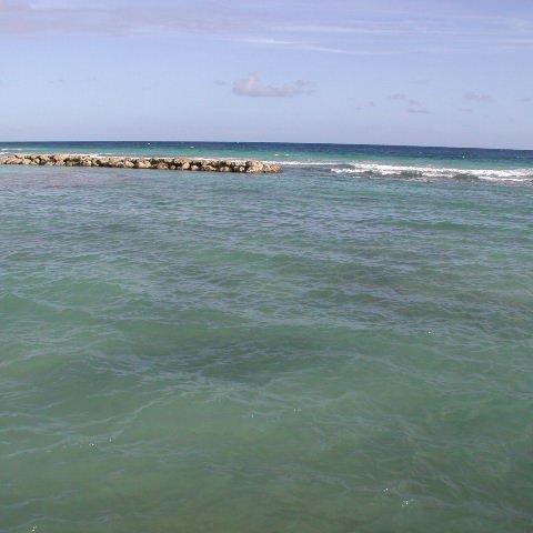 P4031706 P4031706