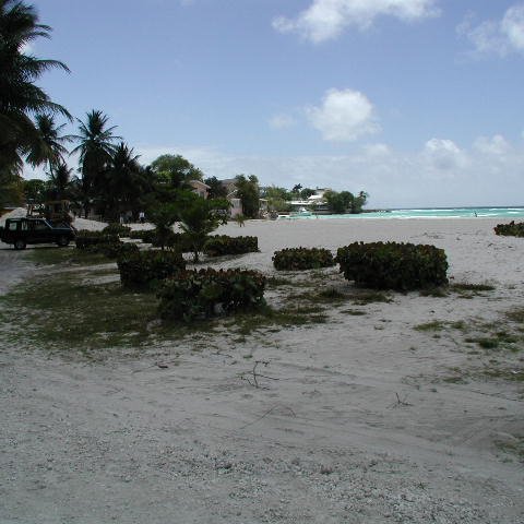 P4021471 P4021471